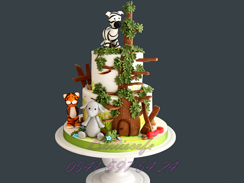 Safari Temalı Doğum günü Pastası