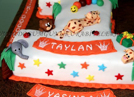 1 Yaş Pasta Ve Kurabiyeleri Taylan